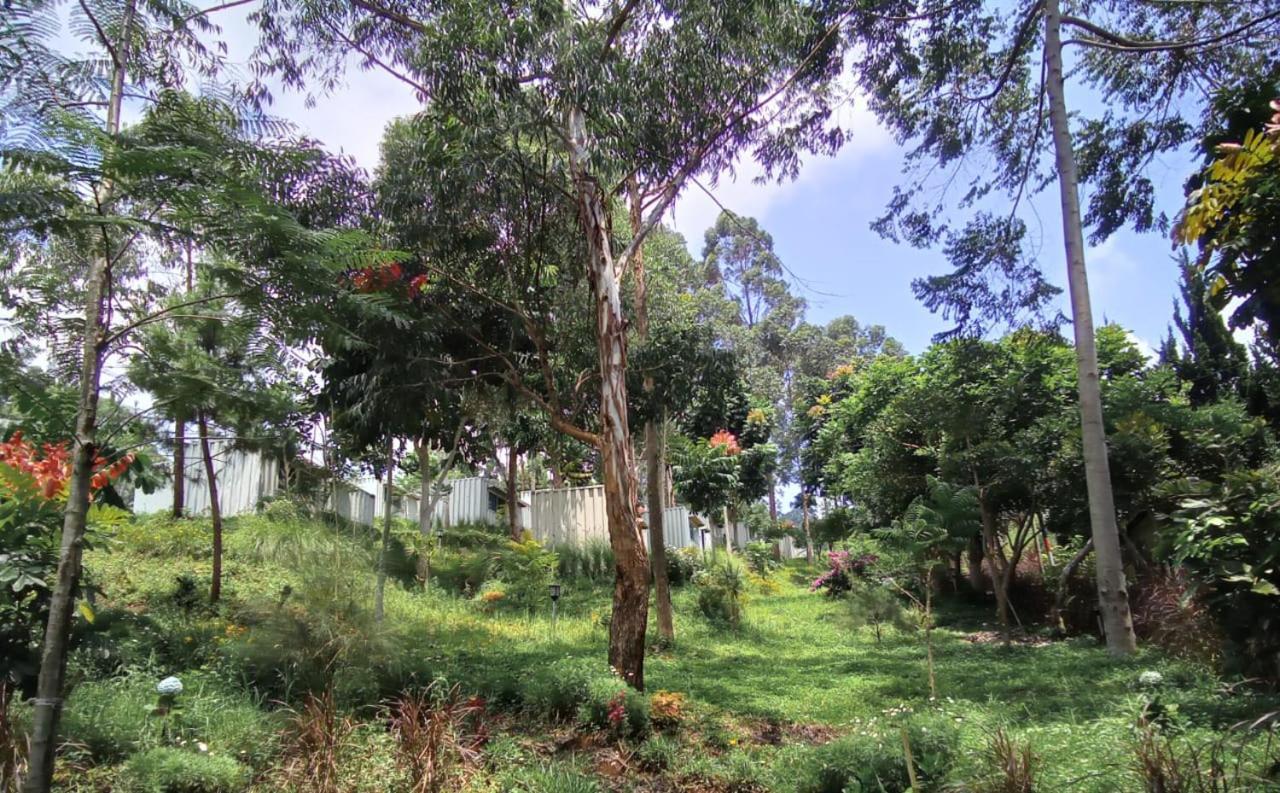 Hotel Bukit Pinus Tegalharendong Luaran gambar