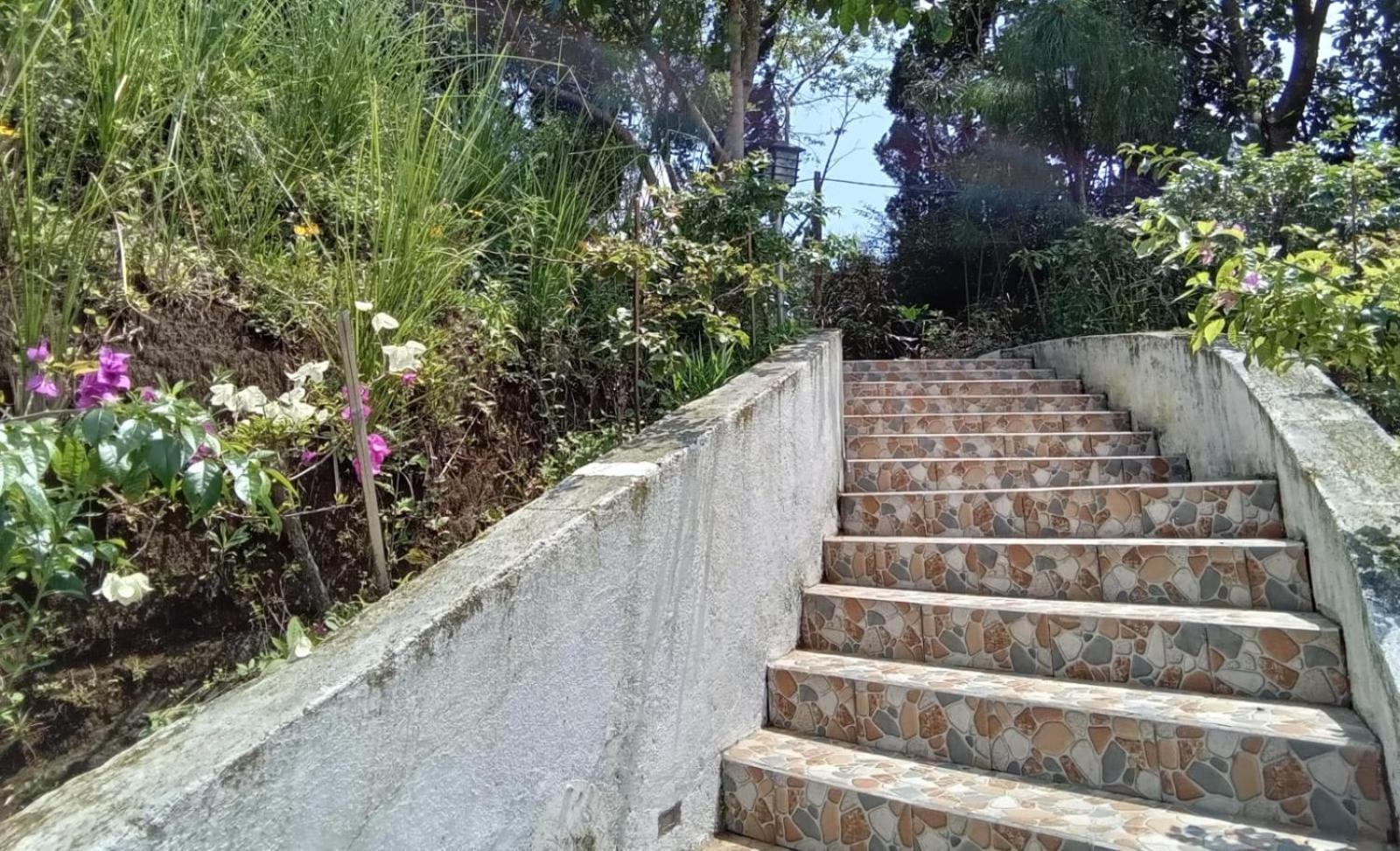 Hotel Bukit Pinus Tegalharendong Luaran gambar